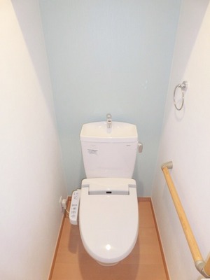 Toilet. Happy with bidet in separate toilet