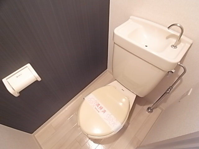 Toilet. It is a simple toilet