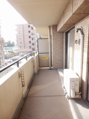 Balcony. It is a large balcony with depth. I will lot Jose your laundry.