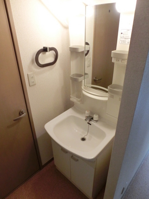 Washroom. Convenient independent wash basin