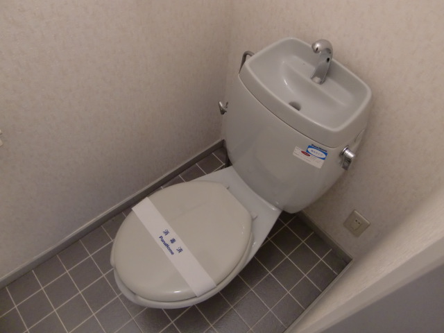 Toilet. Toilet