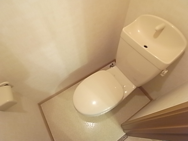 Other. It is a toilet with a clean