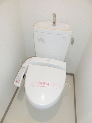 Toilet. Toilet with warm water washing toilet seat