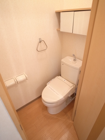 Toilet. Restroom facilities also please visit!  Storage shelves in bidet!