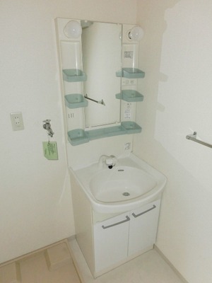 Washroom. Bathroom Vanity