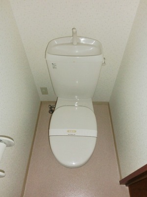 Toilet. Toilet