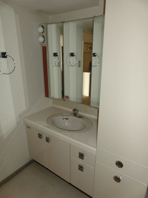 Washroom. Large washbasin