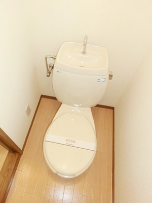 Toilet. Toilet. 