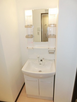 Washroom. It comes with shampoo dresser