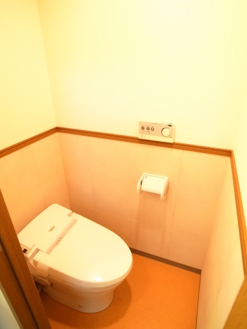 Toilet. Same building, It will be a separate room in the room photo