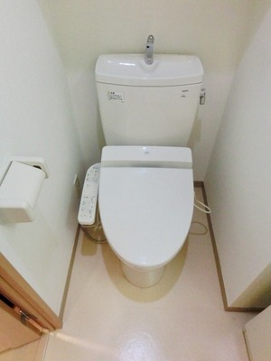 Toilet. Shower toilet.