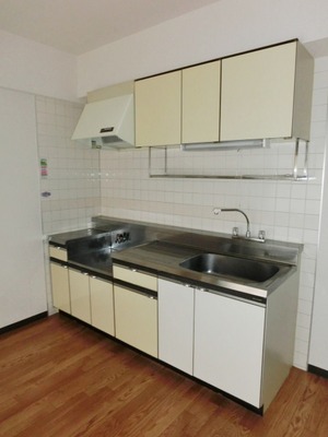 Kitchen. Two-burner gas stove can be installed