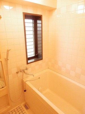 Bath. Is a convenient bathroom with a small window to ventilation.
