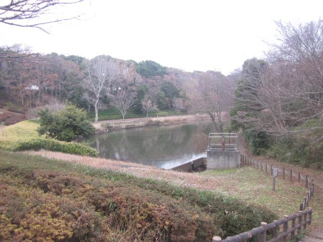 park. 560m to the Blue Leaf Forest Park