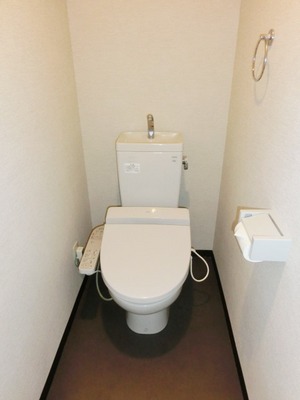 Toilet. With cleaning function. 