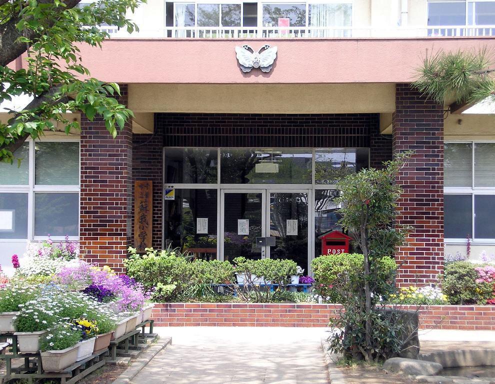 Primary school. Soga elementary school