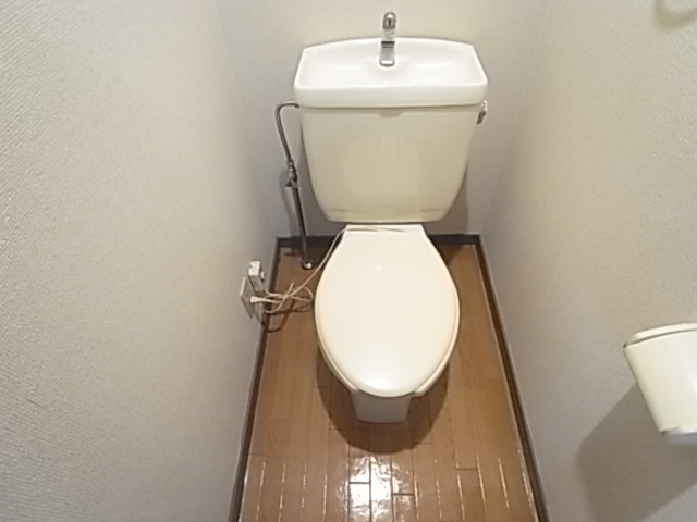 Other. Toilet