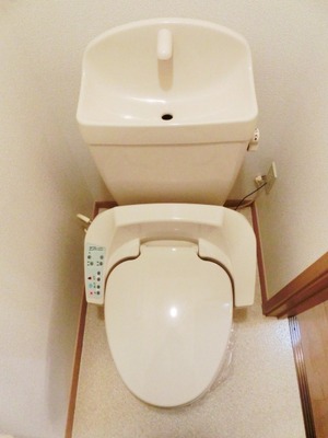 Toilet. I toilets are simple. 