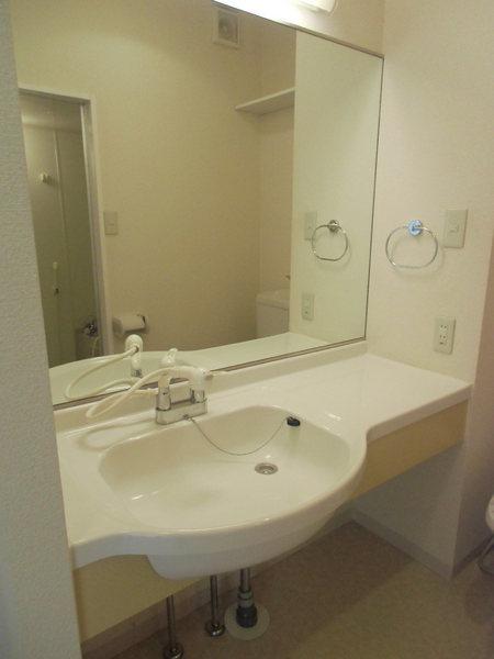 Washroom. It comes with a big mirror