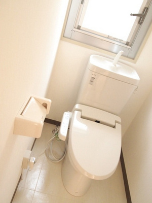 Toilet. Toilet was a new replacement Washlet is also new Happy