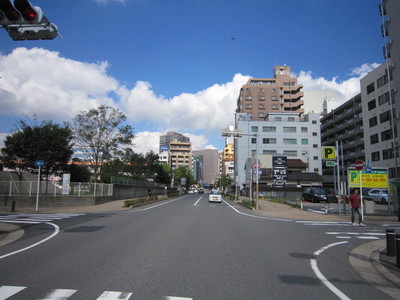 park. Shinjuku Park 50m to the intersection (park)