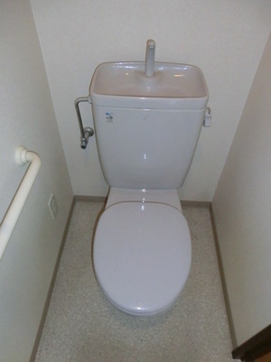 Toilet. Toilet