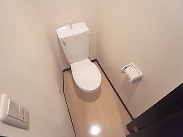 Other. It is a toilet with a clean