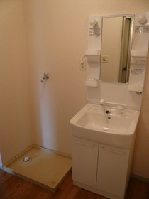 Washroom. I put shampoo dresser!