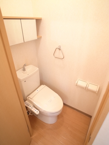 Toilet. Restroom facilities also please visit!  Storage shelves in bidet!