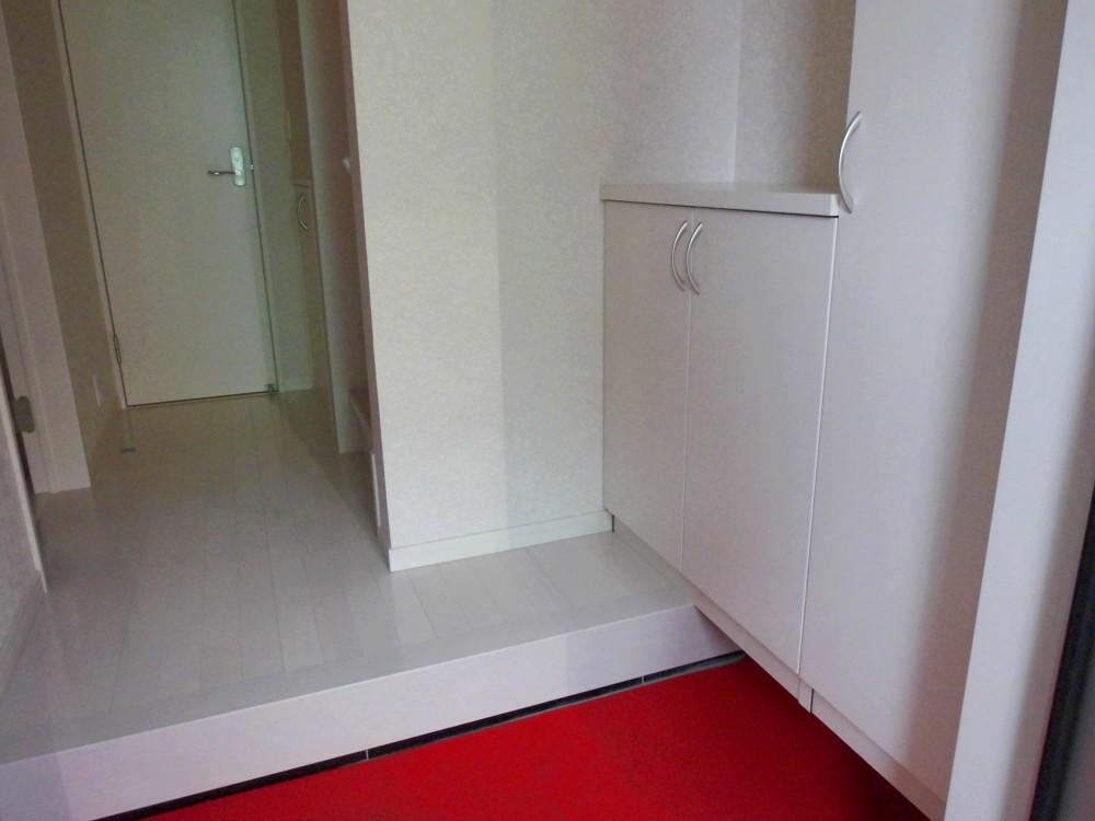 Same specifications photos (Other introspection)