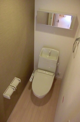 Toilet. Washlet toilet