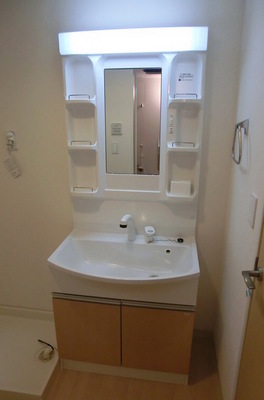 Washroom. Shampoo dresser with separate washroom