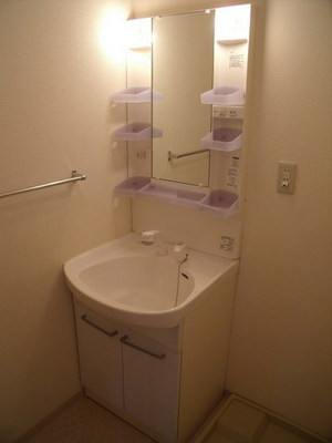 Washroom. Easy-to-use shampoo dresser