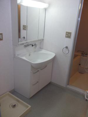 Other. Washroom (wash basin with a shower)