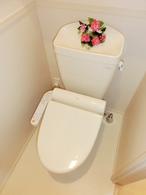 Toilet. Toilet with warm water washing toilet seat