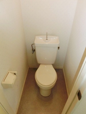 Toilet. Toilet