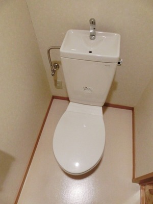 Toilet. I toilets are simple.