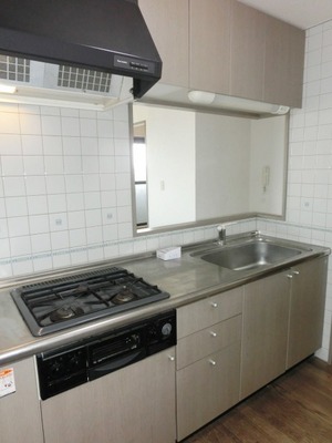 Kitchen. 2 lot gas stoves with kitchen