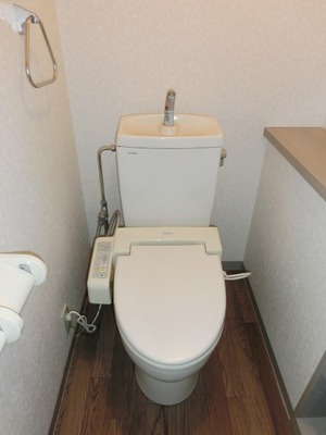 Toilet. Toilet with warm water washing toilet seat