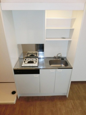 Kitchen. Gas stove with kitchen