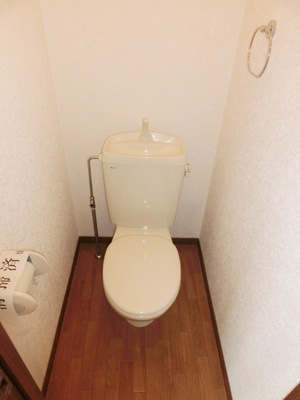 Toilet. Clean toilet.