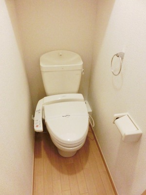 Toilet. Simple toilet.