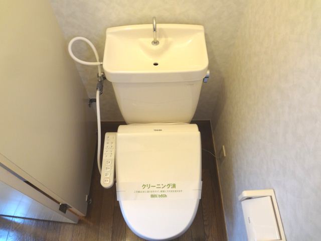 Toilet. It comes with a bidet. 