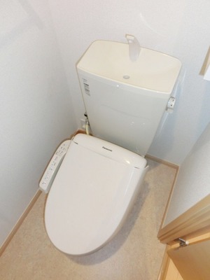 Toilet. Toilet with warm water washing toilet seat