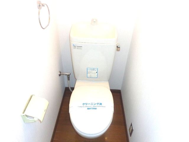 Toilet. Western-style toilet.