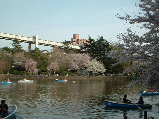 park. 456m to Chiba Park (park)