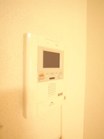 Security. Monitor with intercom