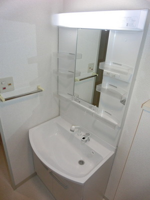 Washroom. Shampoo dresser newly established