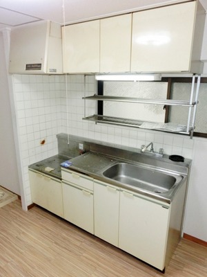 Kitchen. Washing a breeze in the spread of the sink