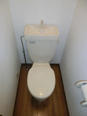 Toilet. Clean toilet